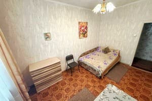 Двухкомнатная в центре города 5