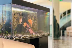 Hotel Palace Ukraine 7