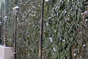 Каравелла 8